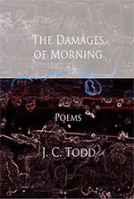 The Damages of Morning -- additional information